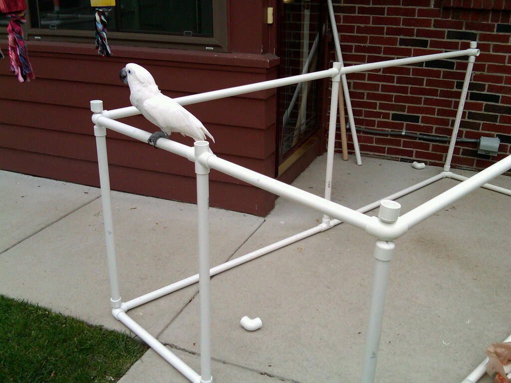 Bird In Everything Outdoor Bird Cage Plans