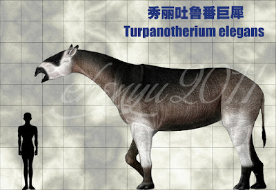 Turpanotherium