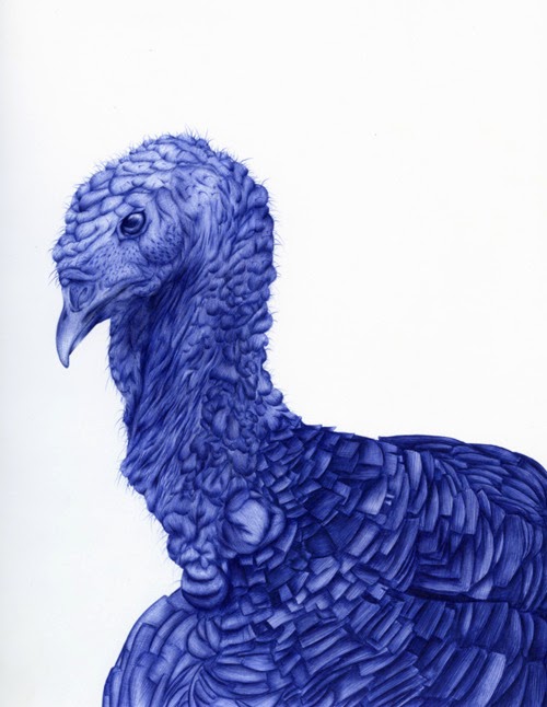 16-Turkey-Sarah-Esteje-ABADIDABOU-Hyper-realistic-Ballpoint-Pen-Animals-www-designstack-co