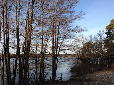 powerjogg+%25283%2529 - Powerjogg och försök till armhävningar