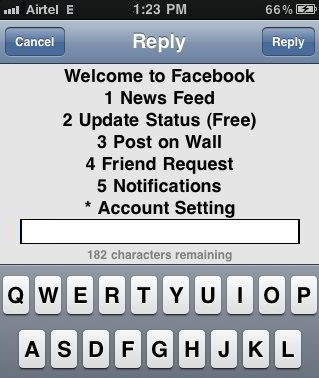 Facebook option screen *325# or *fbk# Facebook option screen *325# or *fbk#