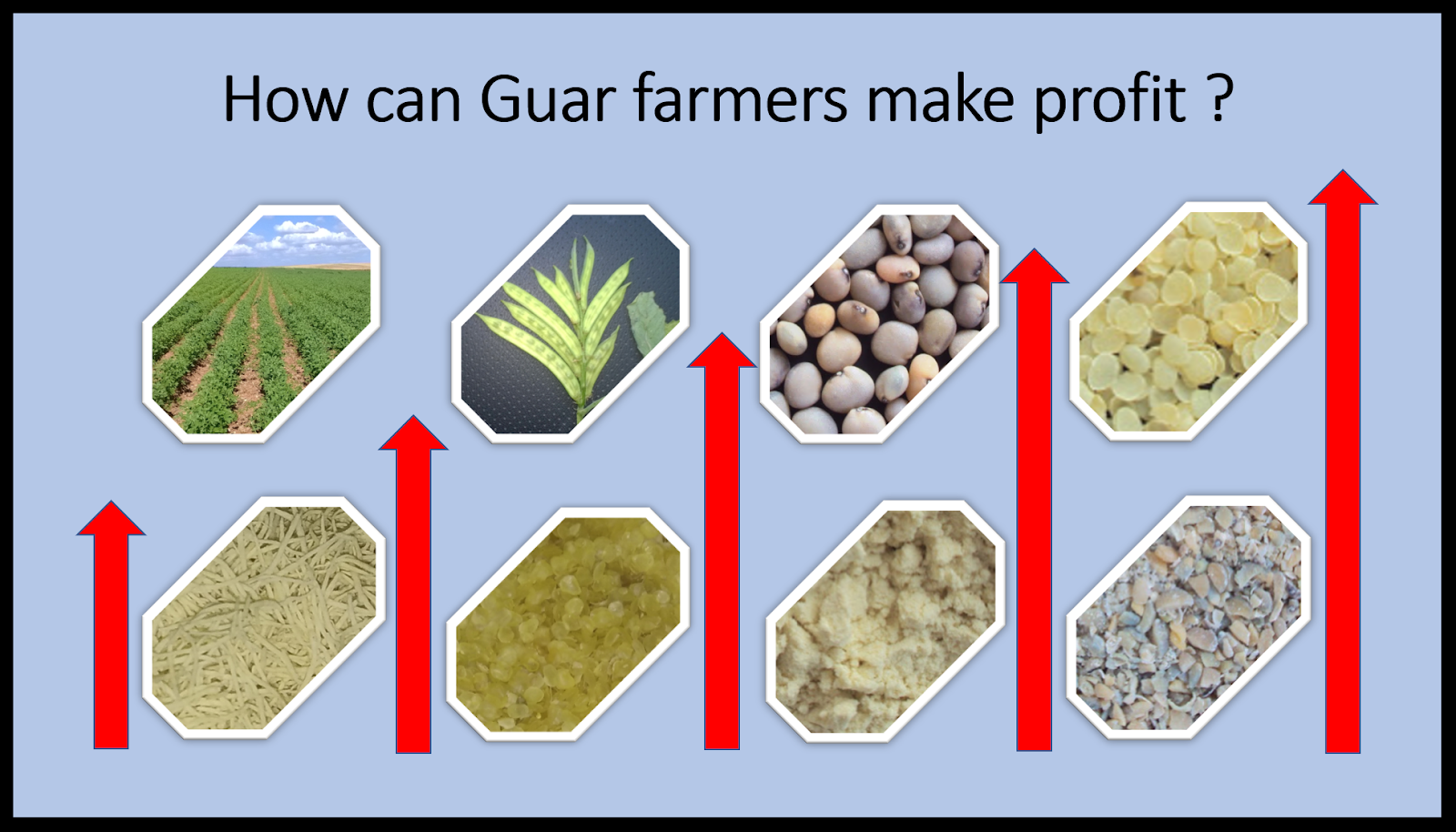 GUAR GUM INFORMATION AND GUAR GUM CULTIVATION IN INDIA How can Guar