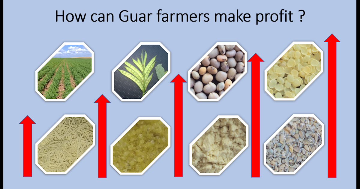 GUAR GUM INFORMATION AND GUAR GUM CULTIVATION IN INDIA How can Guar