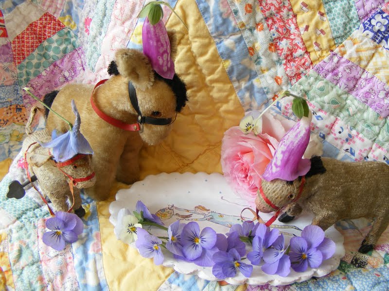 hens teeth I fell asleep beneath the flowers, for a couple of hours