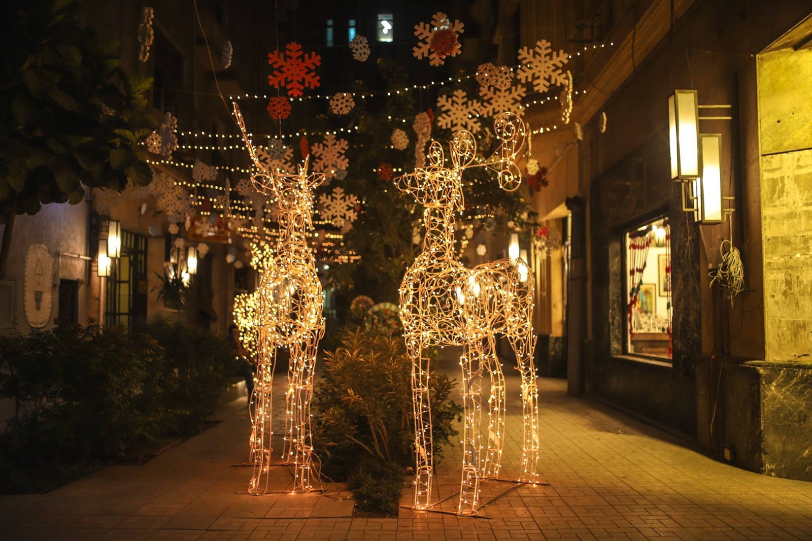 Egyptian Chronicles Merry Christmas from Egyptian Chronicles