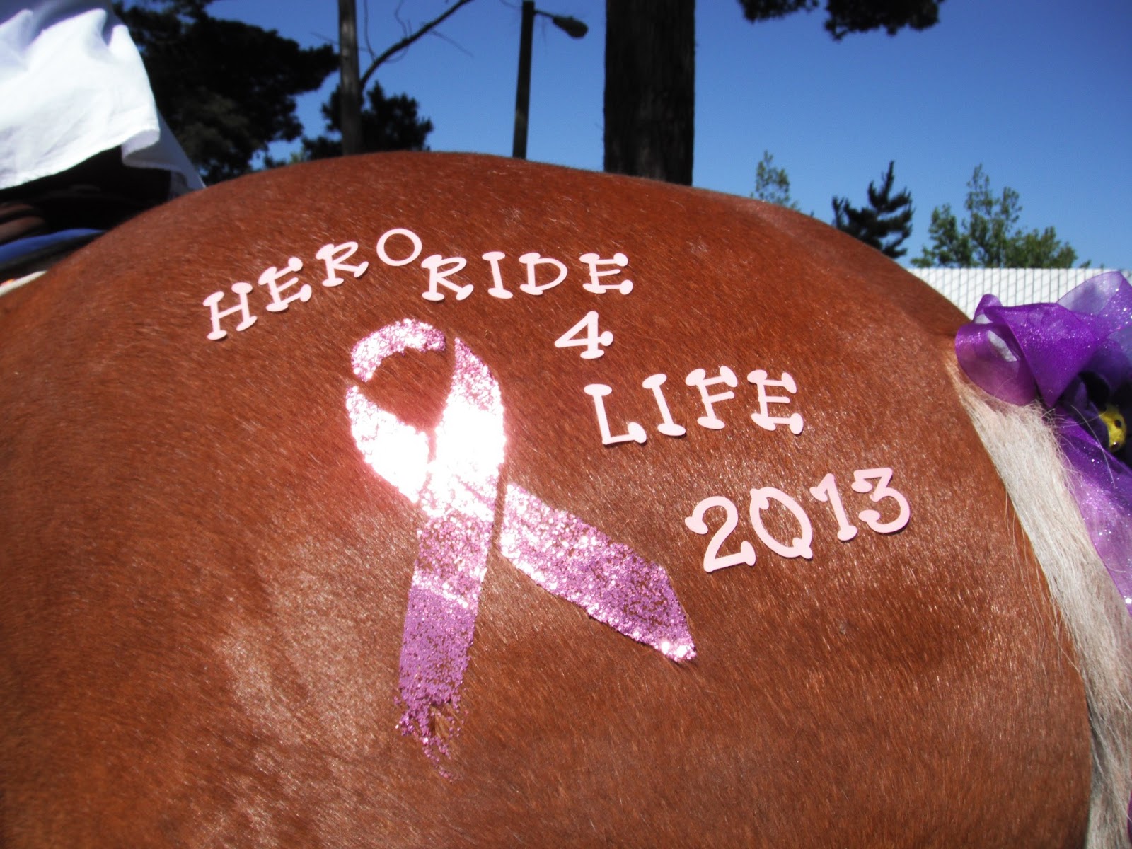 Jackson Hill Horsey Girl 2013 Hero Ride For Life