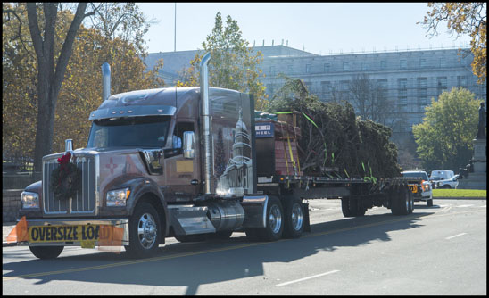Special Kenworth W990 hauling the 2019 U.S. Capitol Christmas Tree