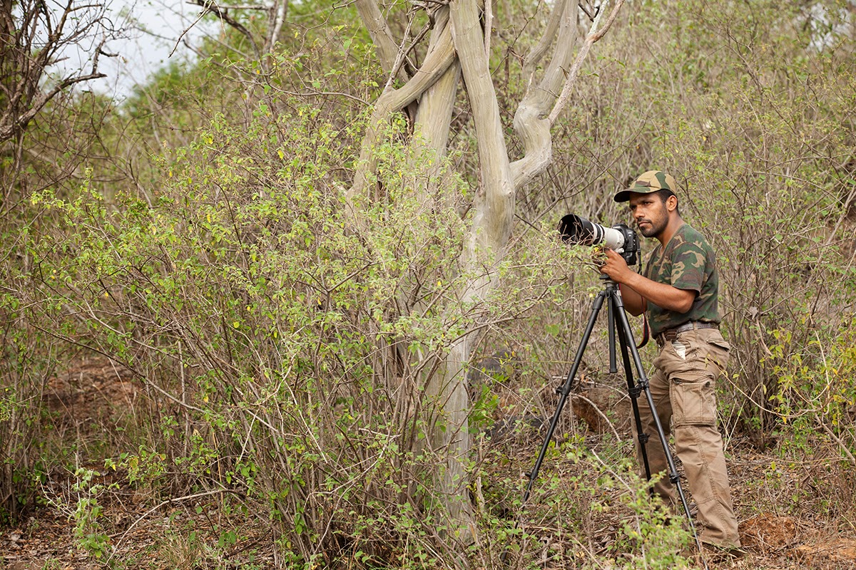 Using tripod for bird photography