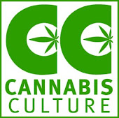Cannabis Culture Magazine