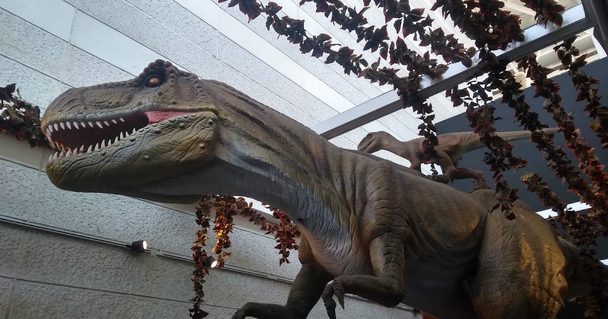 Sonidos De Lata puede no funcionar * Top Trumps dinosaurios Coleccionistas Tin