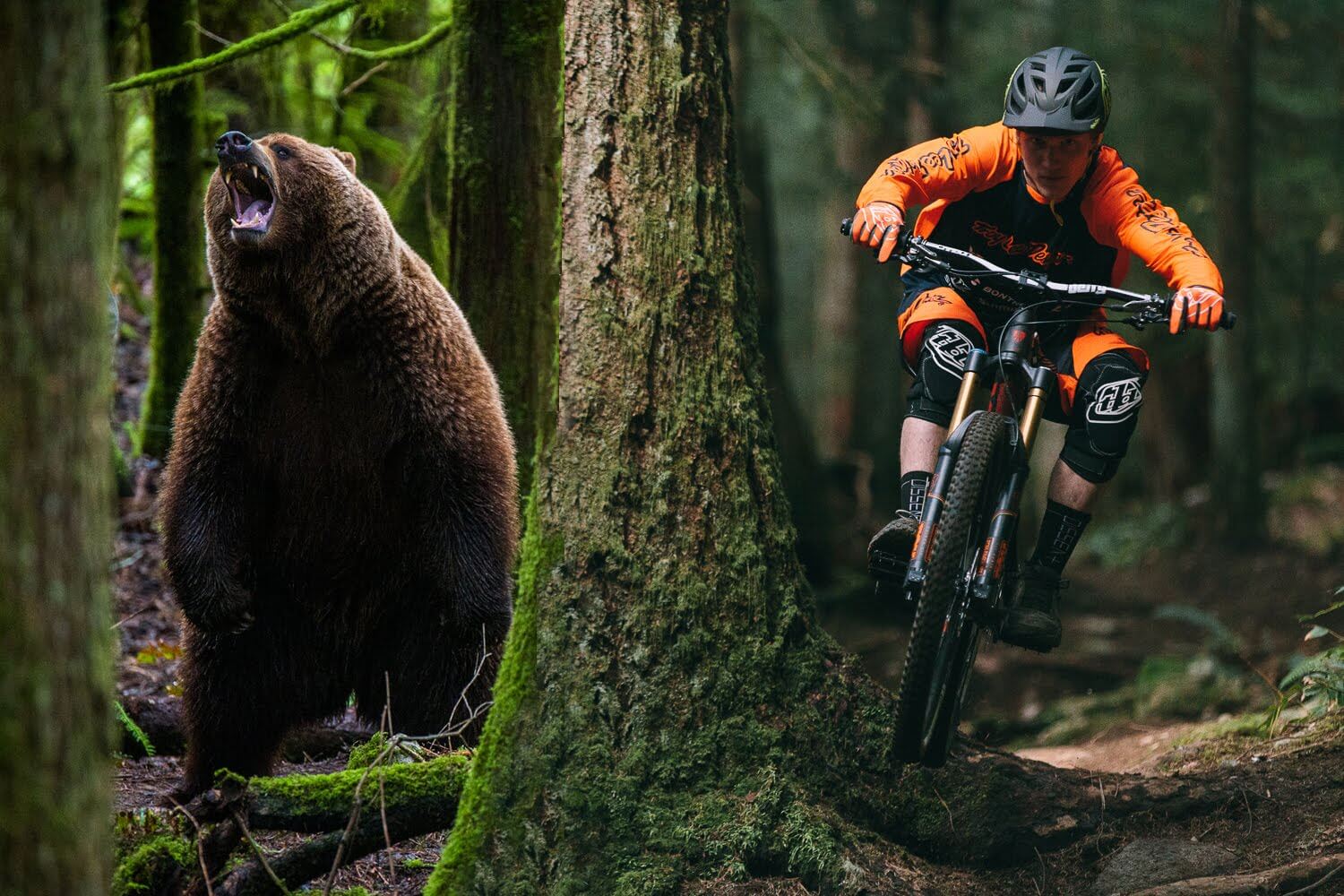 Мишка на велосипеде. Медведь на велосипеде игра. Велосипед медвежонок. Аппликация медведи на велосипеде. Веселые мишки игра.