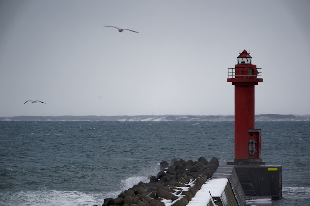 SONY ILCE-9 FE 100-400mm F4.5-5.6 GM OSS + SEL14TC ISO:640 F:8 Tv:1/500s