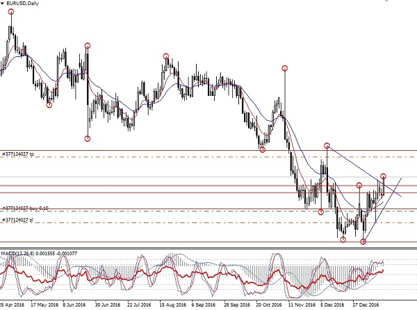 Forex my ikili opsiyon mu