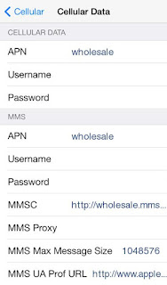 GIV Mobile APN Settings for iPhone