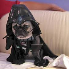 Pug estilo Darth Vader