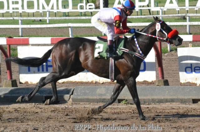 Try Twice corre hoy en La Plata Try Twice Hat Trick La Plata