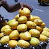 Banaganapalle Mangoes Get Geographical Indication Tag
