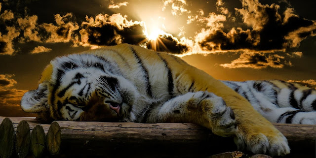 good night images good night images