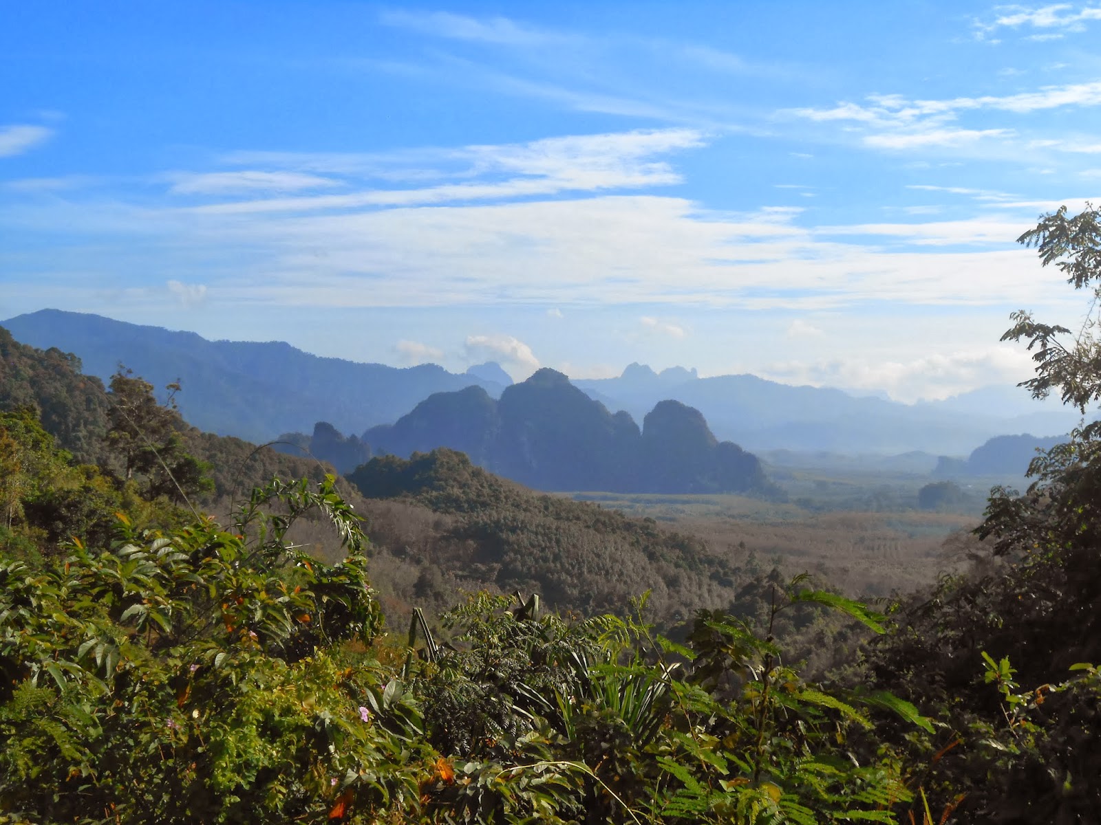 Khao Lak Land Discovery Blog Khao Sok einer der ältesten Regenwälder der Welt