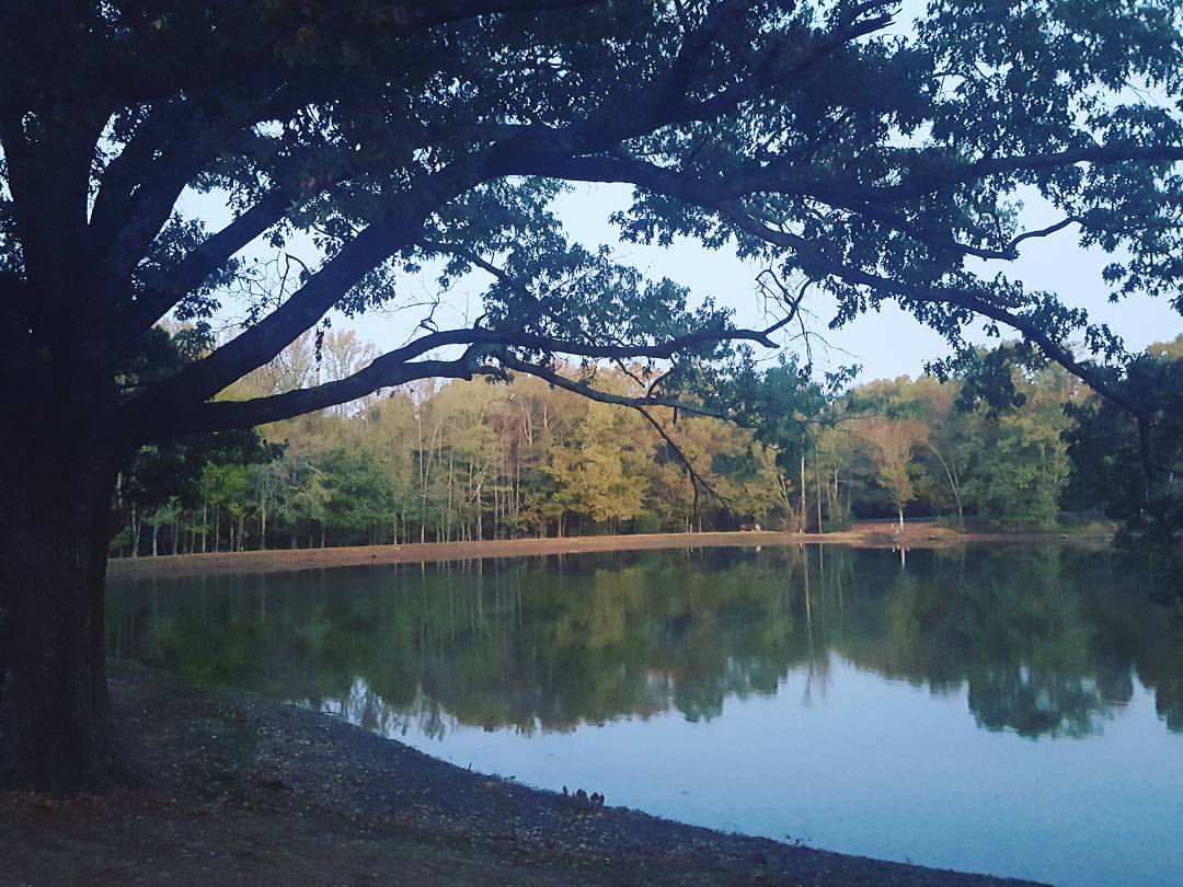 Overflowing With Thankfulness catching up from the weekend