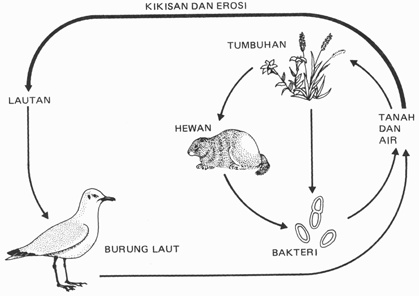 Daur Sulfur Daur Sulfur