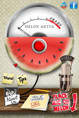 melon meter