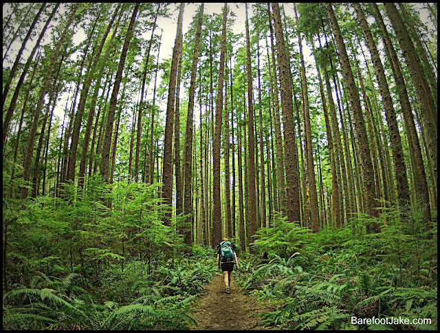 third beach trail