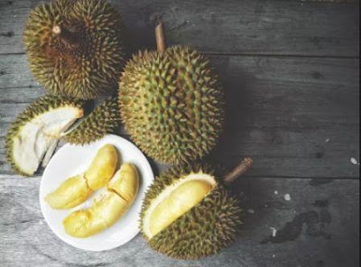 7 Cara Memilih Durian yang Enak, Sudah Terbukti 7 Cara Memilih Durian yang Enak, Sudah Terbukti