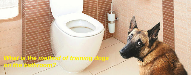 What is the method of training dogs on the bathroom?
