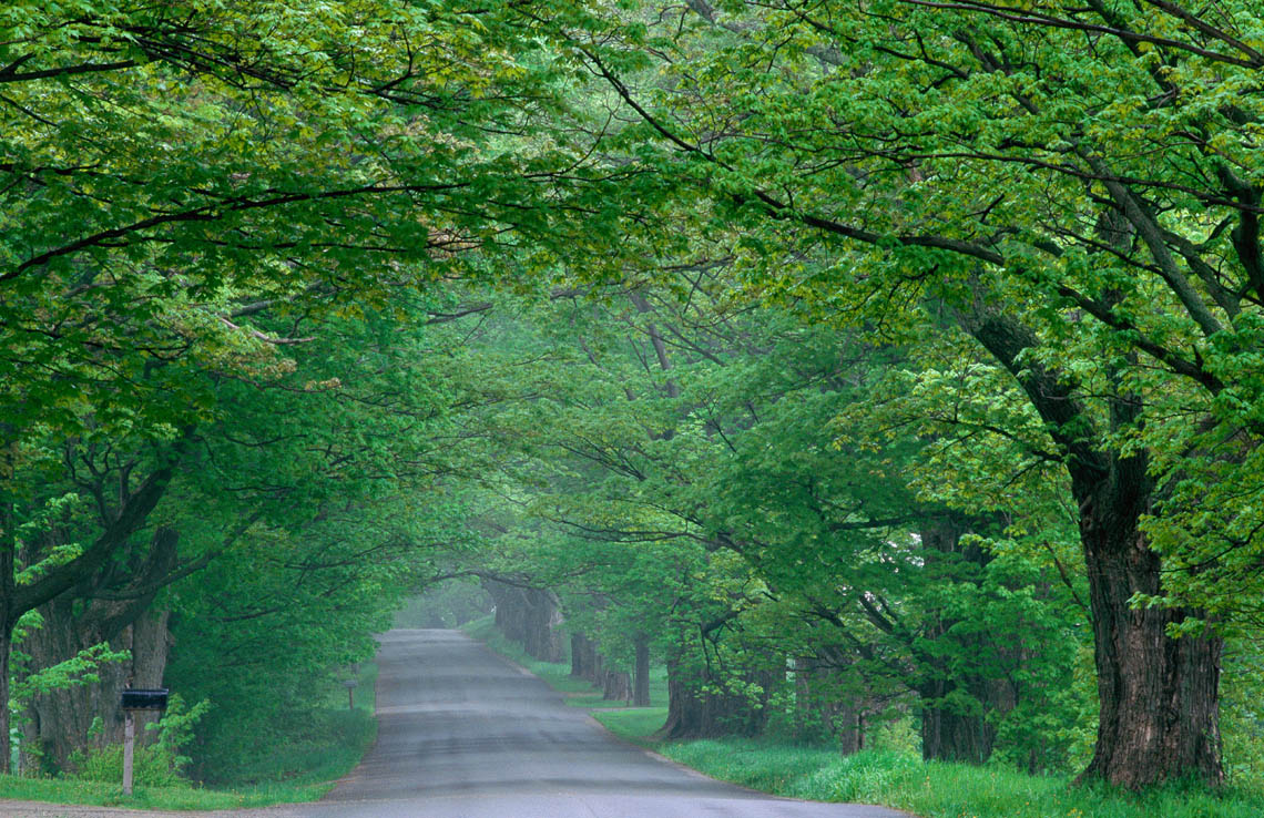 Every Day Is Special March 4 Vermont Celebrates Statehood