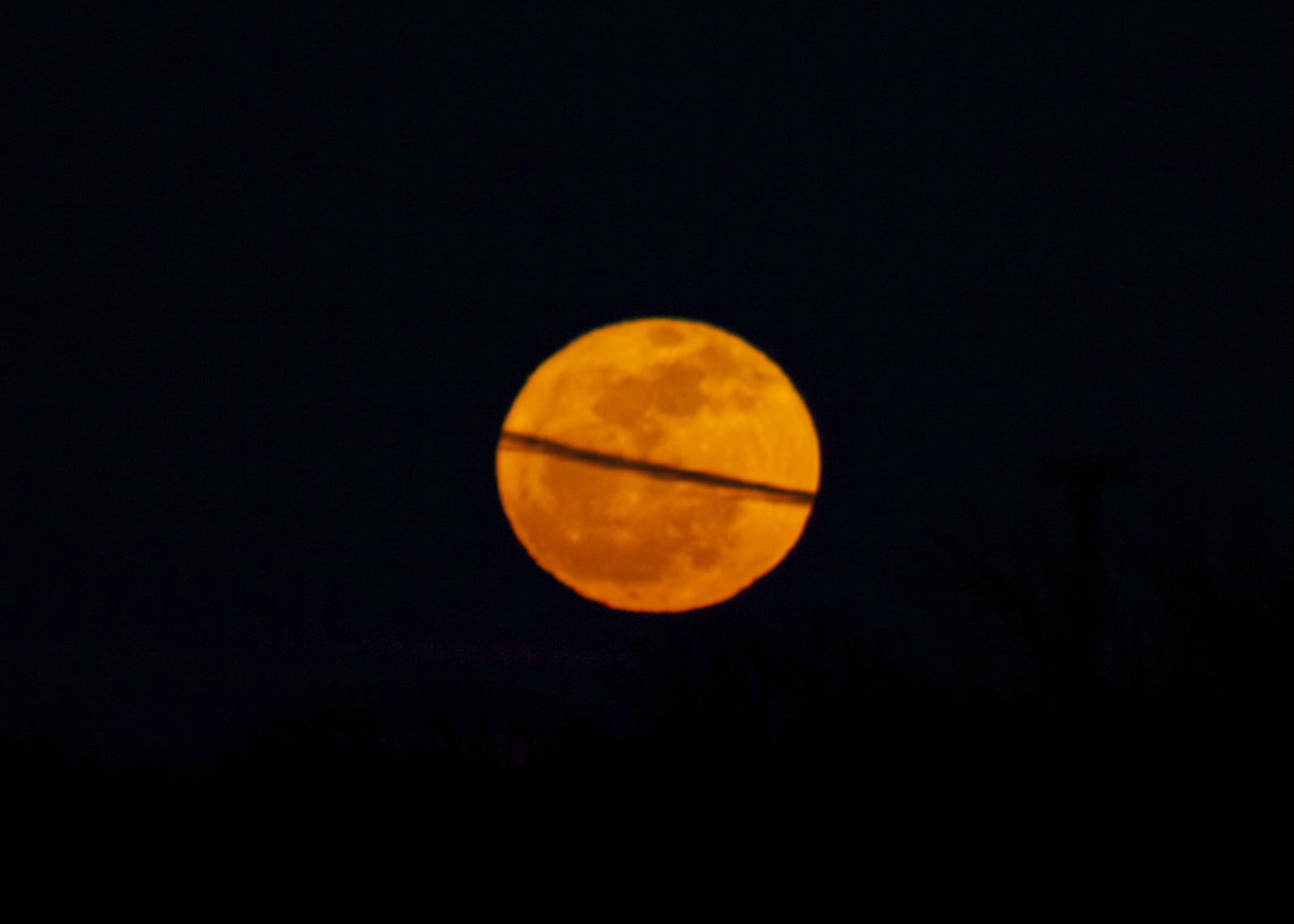 Большая оранжевая луна. Оранжевая Луна. Луна оранжевого цвета. Оранжевая полная Луна. Оранжевое полнолуние.