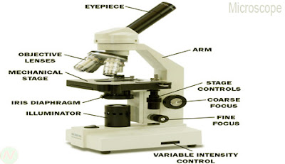 Microscope 