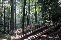 taman hutan raya ir h juanda