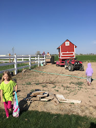 coop chicken pallets build uncle moving pallet stopped affair helped definitely even
