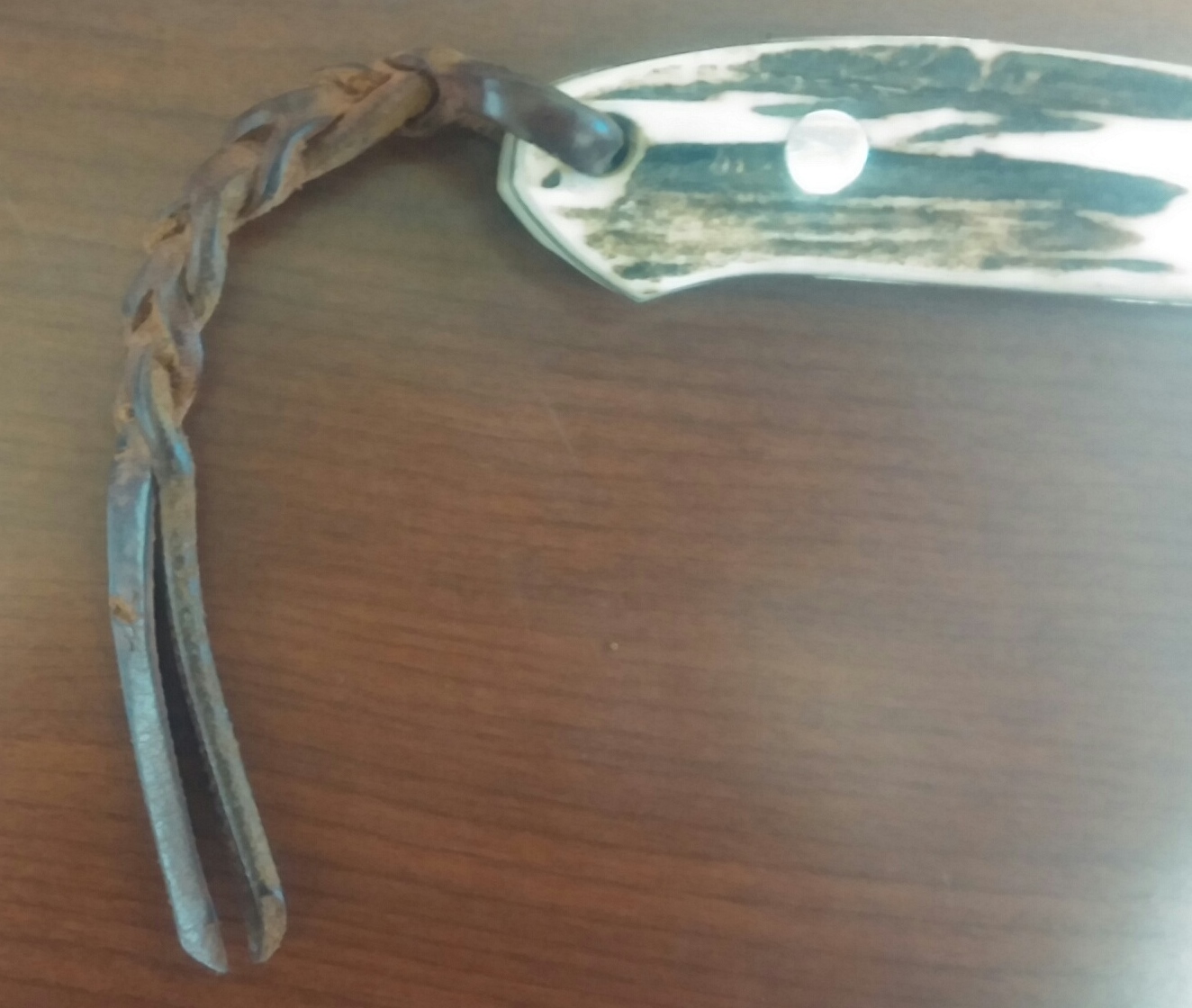 Functional Horsemanship Tack Tip Detachable Saddle Strings