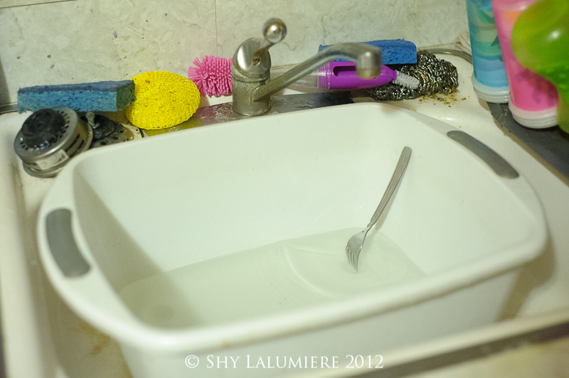 Appropriately Mellow: Save Water - Washing Dishes