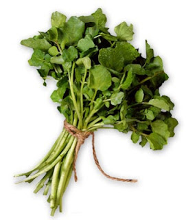 Watercresses | Leaf Vegetables | Family Brassicaceae