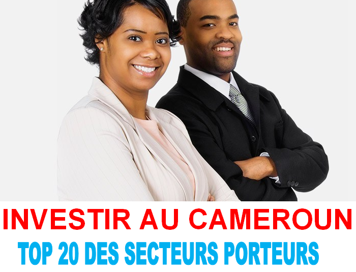 Top 20 des secteurs porteurs au Cameroun