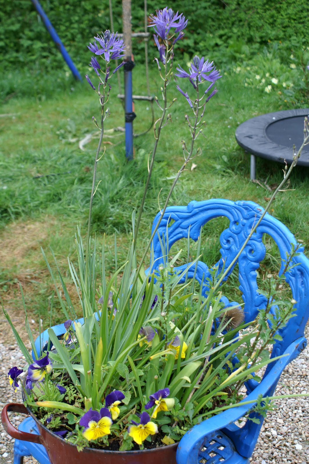 Doğayı Keşfederken Mayis ayi bahceden ozetler