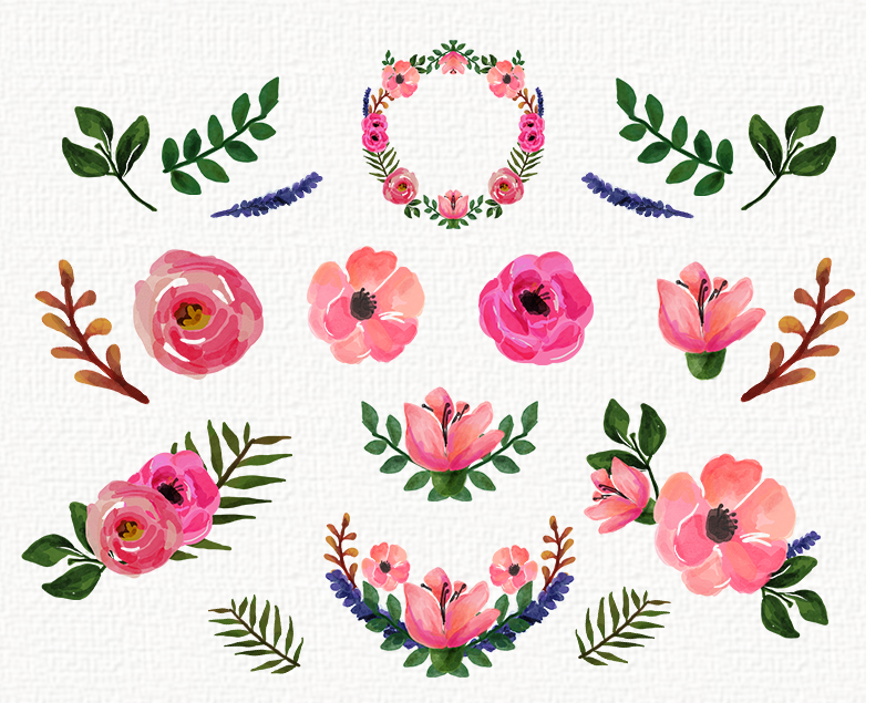 Clip Art Free Floral Clip Art freebies watercolor floral clip art collection roses and free peonies 14 elements digial painting wedding individual