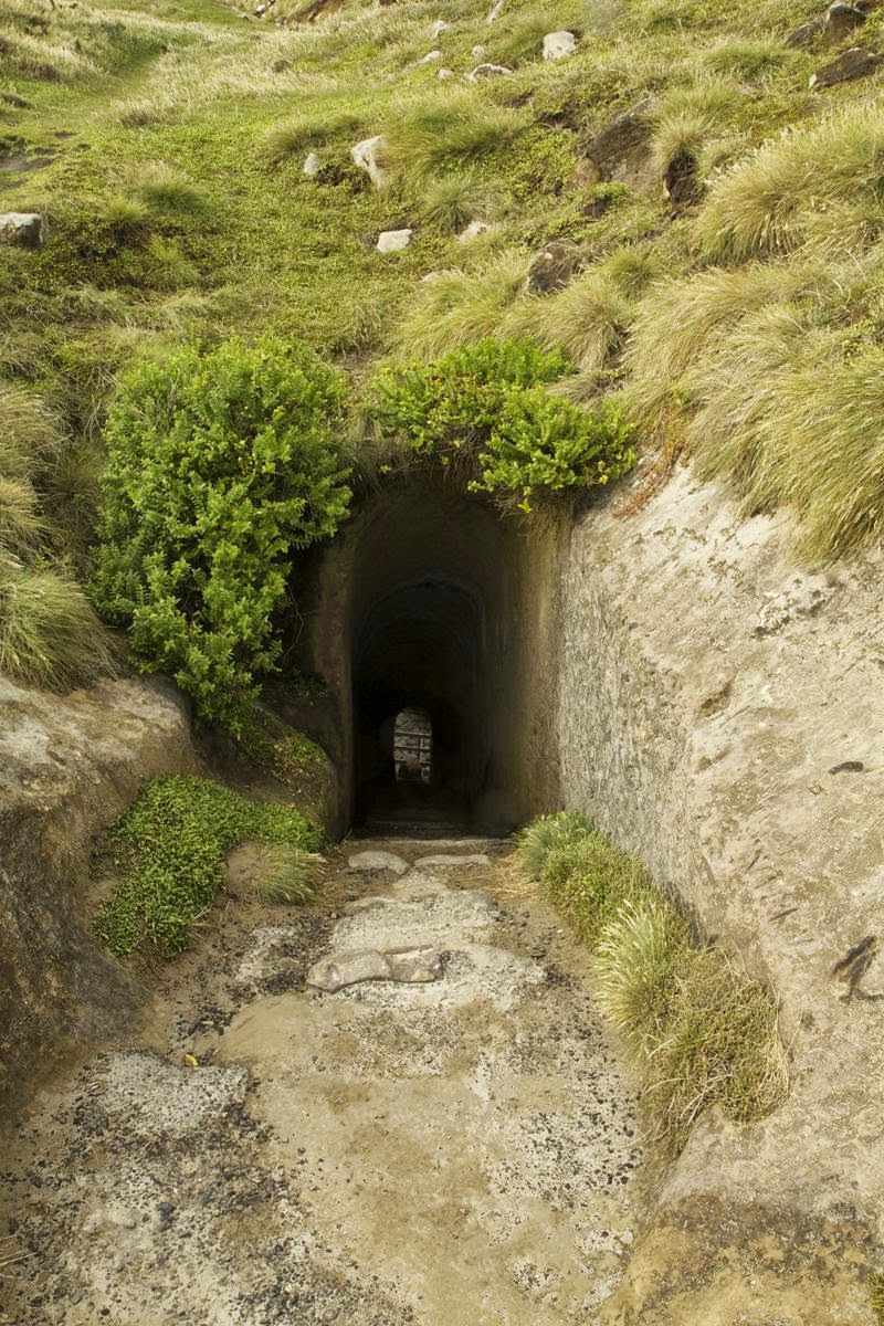 The Tunnel on the Beach of Dunedin, New Zealand