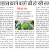 UPPSC भर्ती घोटाला: पीआइएल करने वालों की हो रही तलाश, आयोग का कामकाज रोकने पर दाखिल हुई थी तीन याचिकाएं