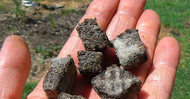 Media Terbaik Pengganti Rockwool Hidroponik untuk Menanam