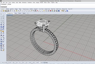 Rhino design for a ring