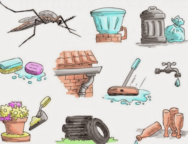 5 langkah mudah menghalang aedes membiak di kediaman anda