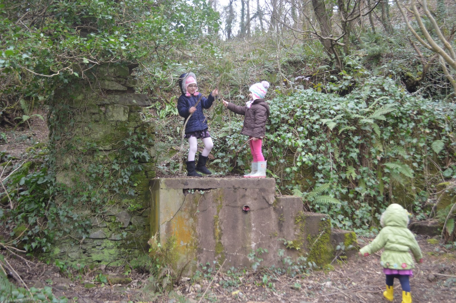 , Sunday Walk from Havens Head to Lower Priory #CountryKids