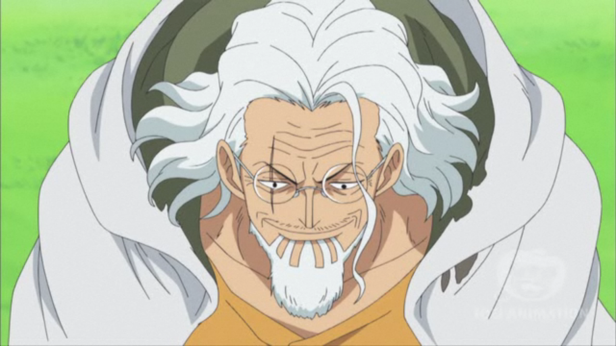 one piece silvers rayleigh