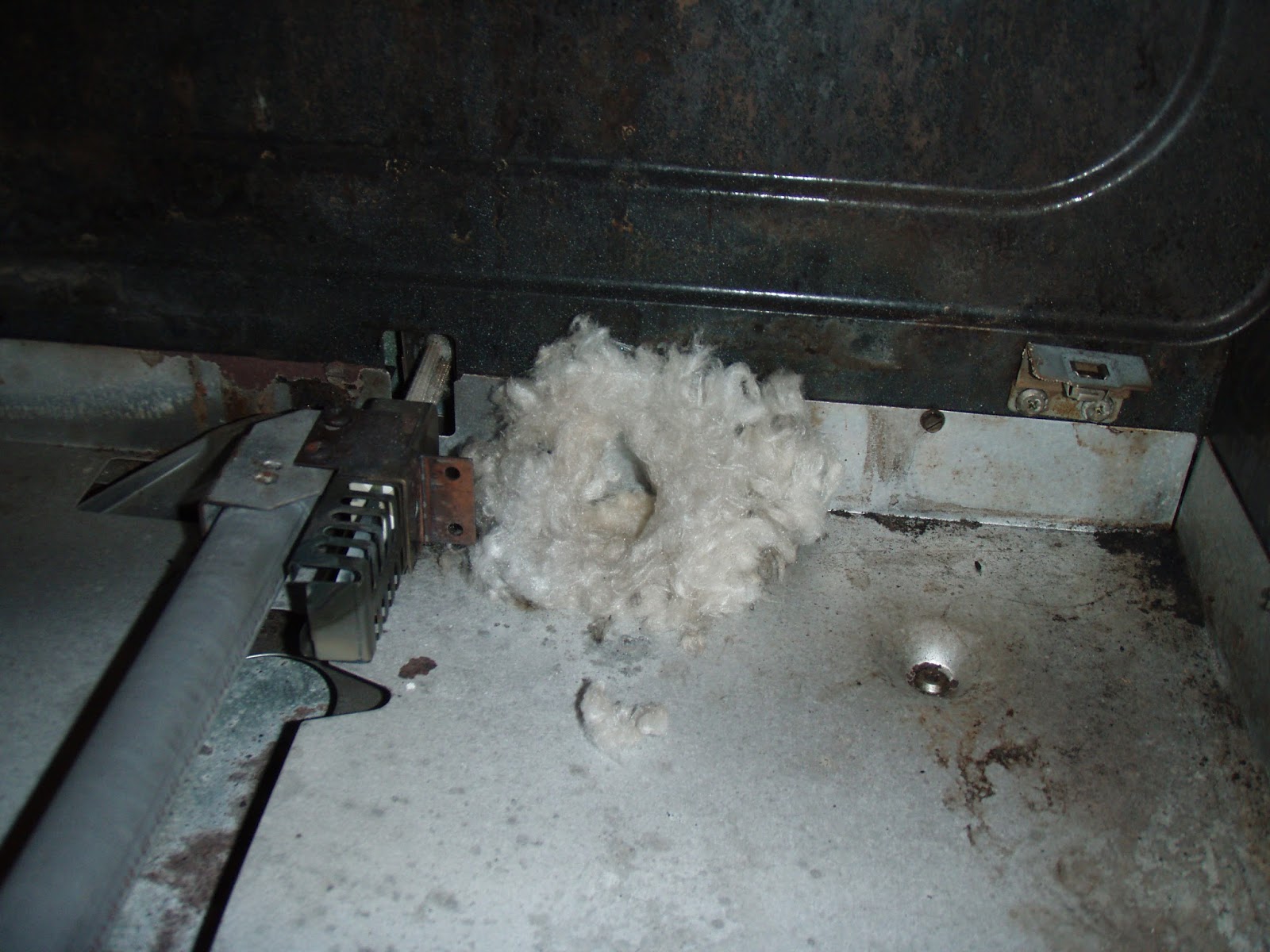 Citizen Rider November 2015