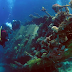 Bermuda Triangle Underwater Pictures Latest