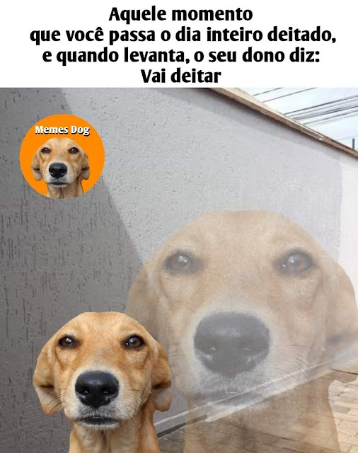Memes engraçados Memes engraçados